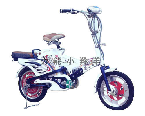 福特 16“ 48V